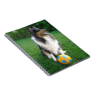 Carnet Collie