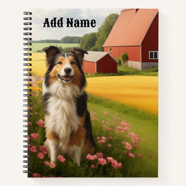 Carnet Collie standard à la ferme (Devant)