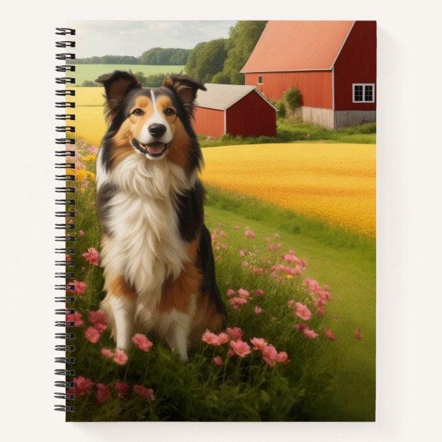 Carnet Collie standard à la ferme (Devant)