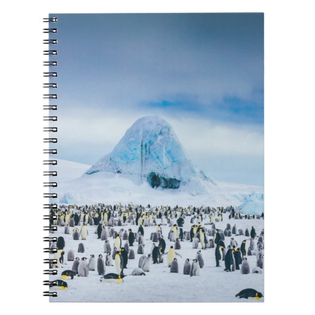 Carnet Colonie de l'empereur Penguin (Devant)