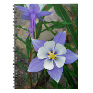 Carnet Colonne bleue