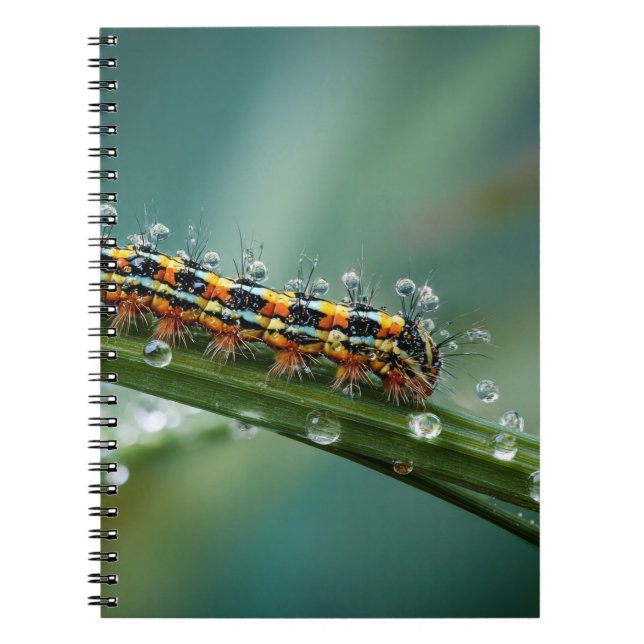 Carnet coloré Caterpillar Dew (Devant)