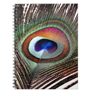 Carnet Colorful Copper Peacock Feather