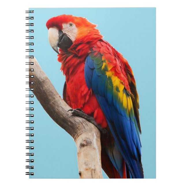 Carnet Colorful Parrot Portrait (Devant)