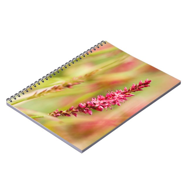Carnet coloris (Côté gauche)