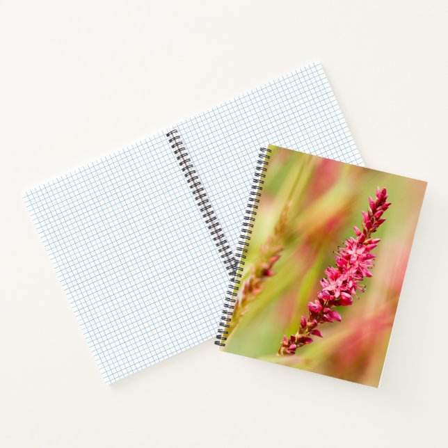 Carnet coloris (Intérieur)