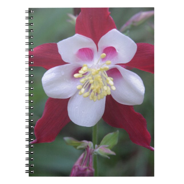 Carnet Columbine (Devant)