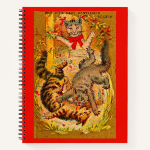 Carnet combat de chat