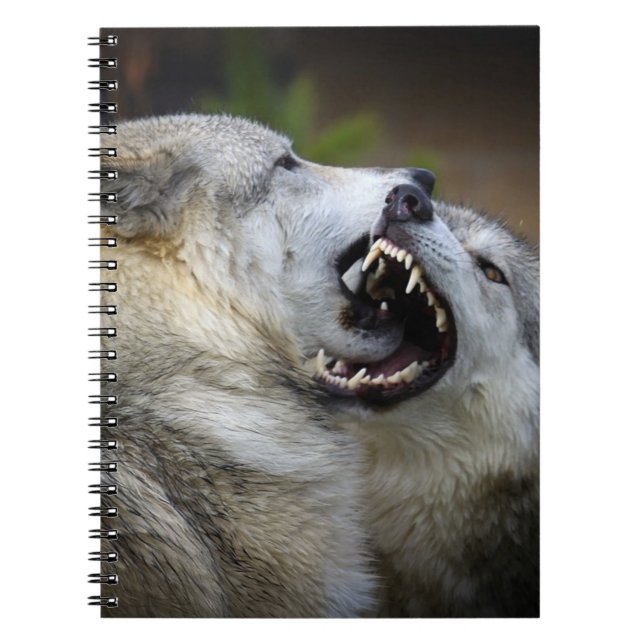 Carnet Combat de loup (Devant)