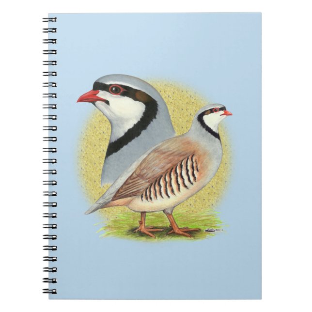 Carnet Combo de perdrix de Chukar (Devant)