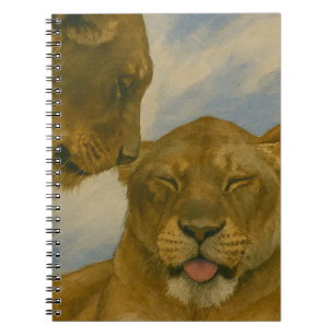 Carnet Compagnie de Lioness en Golden Light