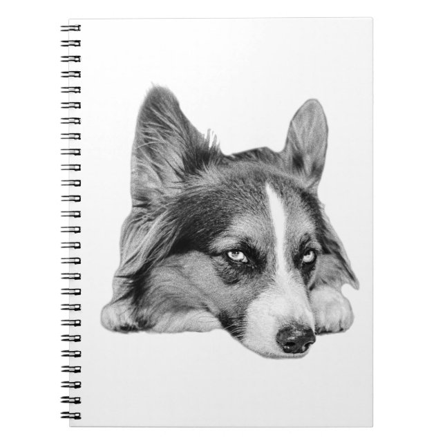 Carnet Compagnon réfléchi (Devant)