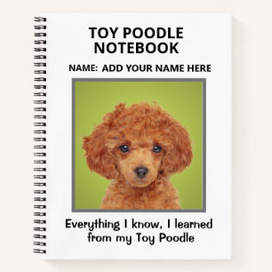 Carnet Composition des canicules de jouets