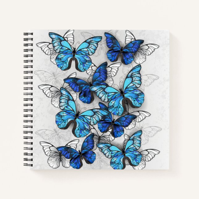 Carnet Composition des White and Blue Butterflies (Devant)