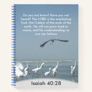 Carnet Compréhension divine insondable : Ésaïe 40:28