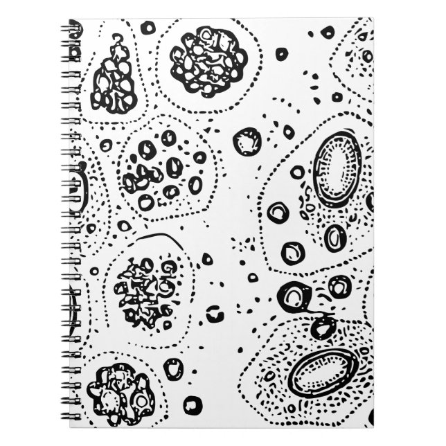 Carnet Conception cellulaire (Devant)
