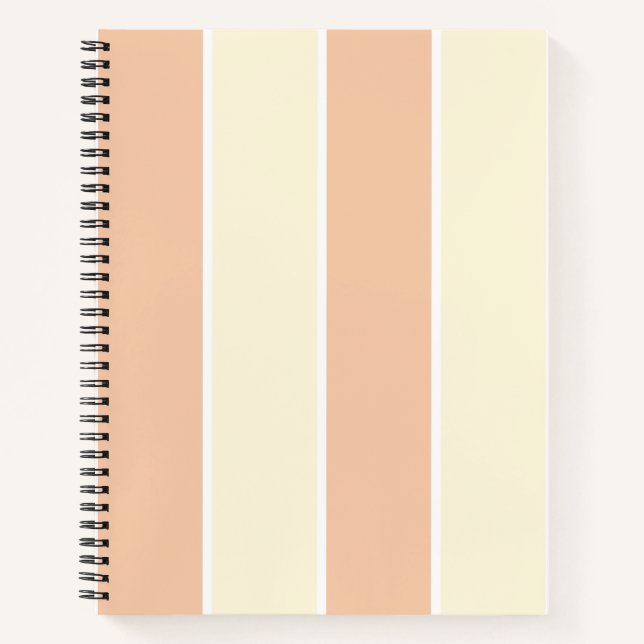 Carnet Conception de motif à rayures verticales de couleu (Devant)