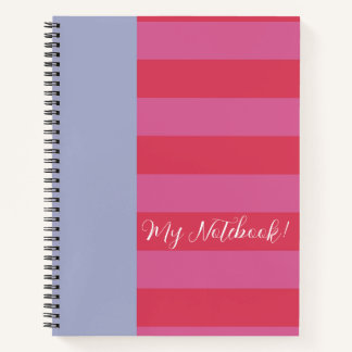 Carnet Conception rayée rose et bleu glace lumineuse et g