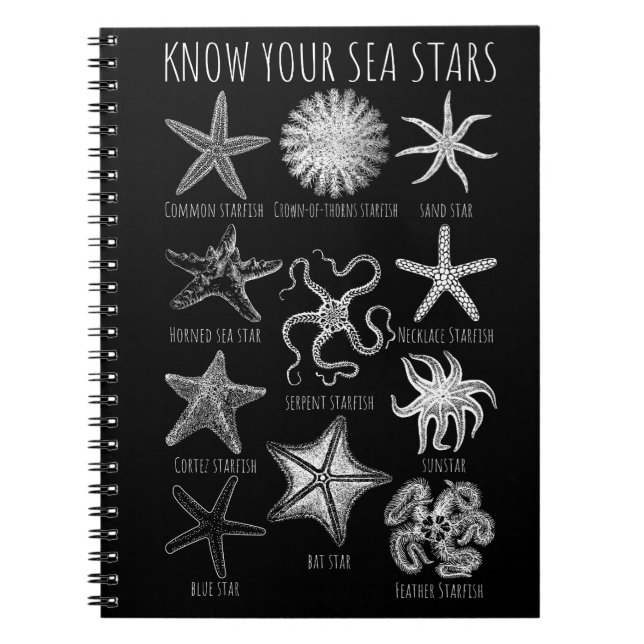 Carnet Connaissez vos étoiles de mer - Groupes Starfish (Devant)