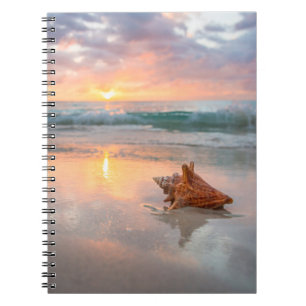 Carnet Conque Shell sur la plage Jamaïque
