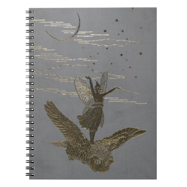 Carnet Conte de fées féerique gris d'imaginaire de (Devant)