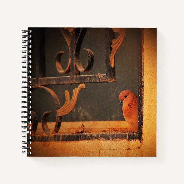 Carnet Contemplation (Devant)