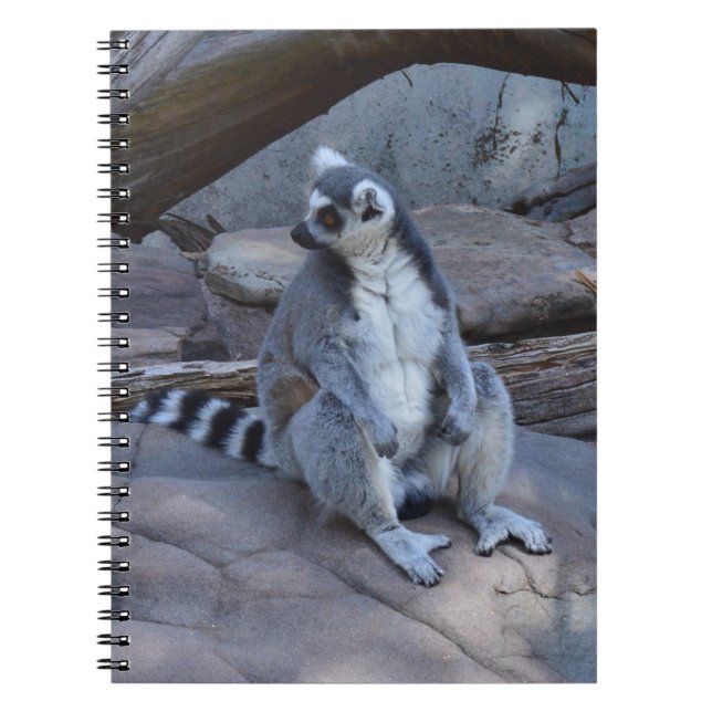 Carnet Contremaître De Possum À Ringtail Au Travail, (Devant)