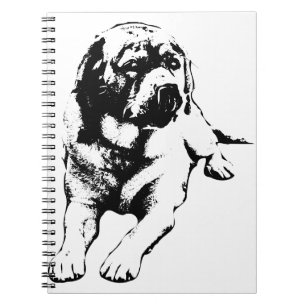 Carnet Cookies d'abord, notes plus tard