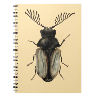 Carnet Cool dendroctone insecte amant entomologie art