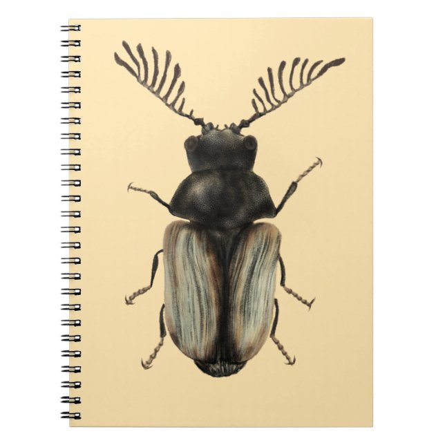 Carnet Cool dendroctone insecte amant entomologie art (Devant)