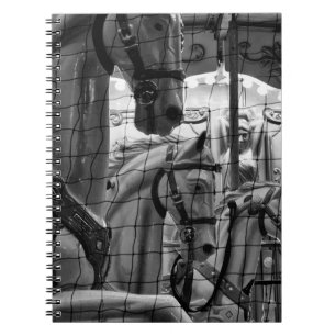 Carnet Cool, photo urbaine et moderne des chevaux du