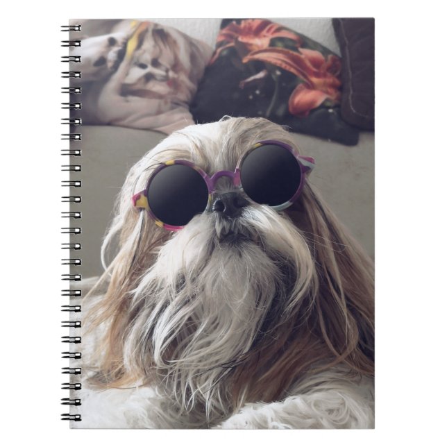 Carnet Cool Shih Tzu cheveux longs Lunettes de soleil vin (Devant)