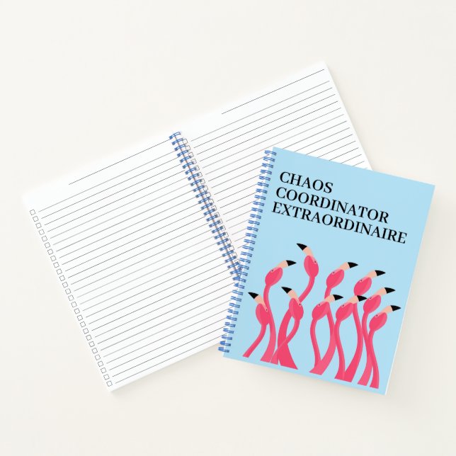 Carnet Coordonnateur de Chaos Extraordinaire Prof de Foli (Intérieur)