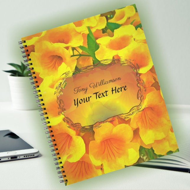 Carnet Copa de Oro (Créateur téléchargé)