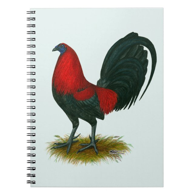 Carnet Coq de combat américain :  Brun Rouge (Devant)