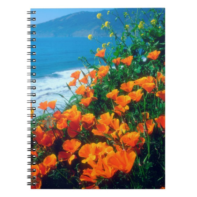Carnet Coquelicots le long de la côte Pacifique près de B (Devant)