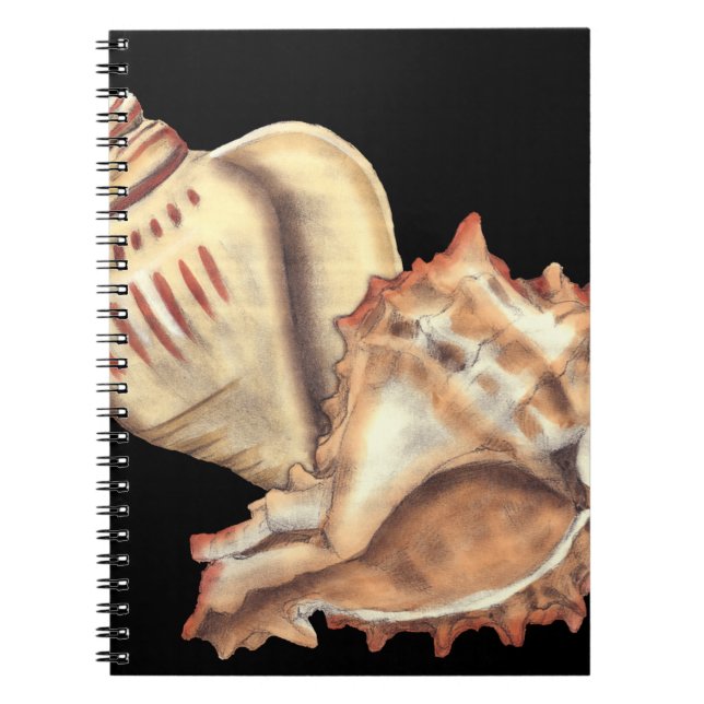 Carnet Coques de conques artistiques (Devant)