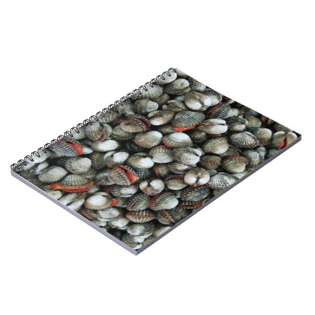 Carnet Coques de coques de sang (Côté gauche)