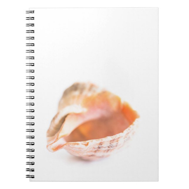 Carnet Coquillage (Devant)