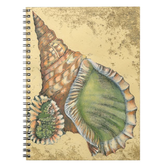 Carnet Coquillage Brown et vert (Devant)