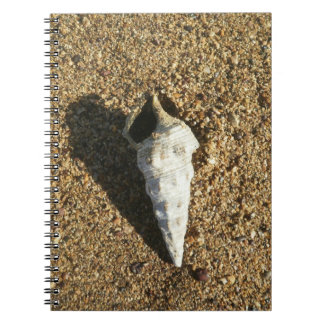 Carnet Coquillage sur la plage