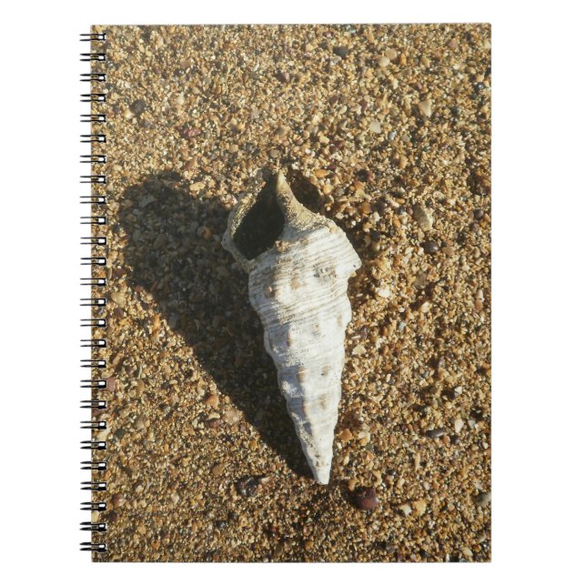 Carnet Coquillage sur la plage (Devant)