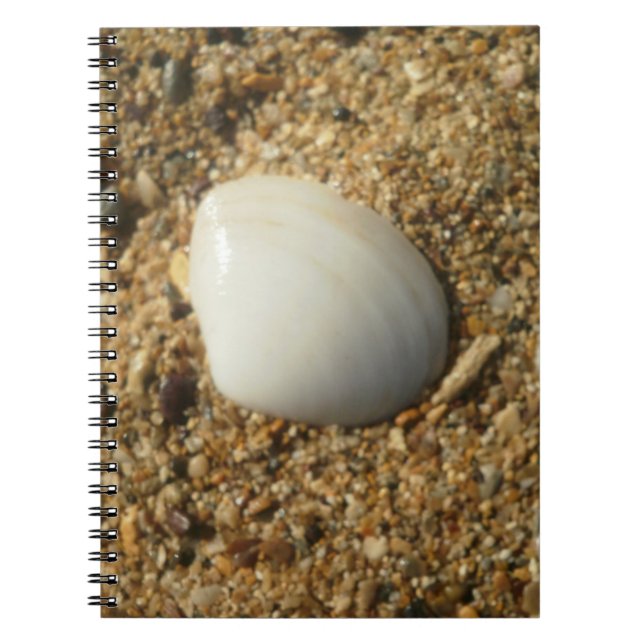Carnet Coquillage sur le sable (Devant)