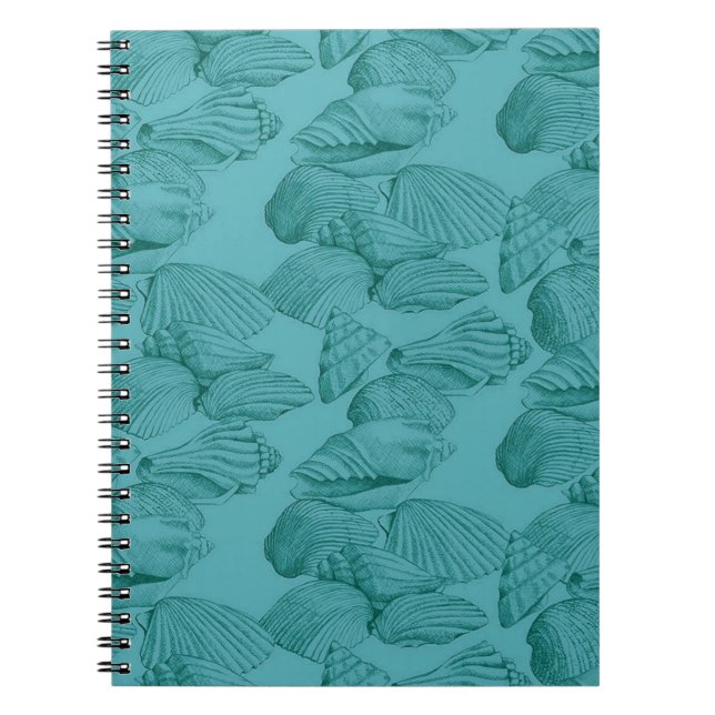 Carnet Coquillages à Aqua (Devant)