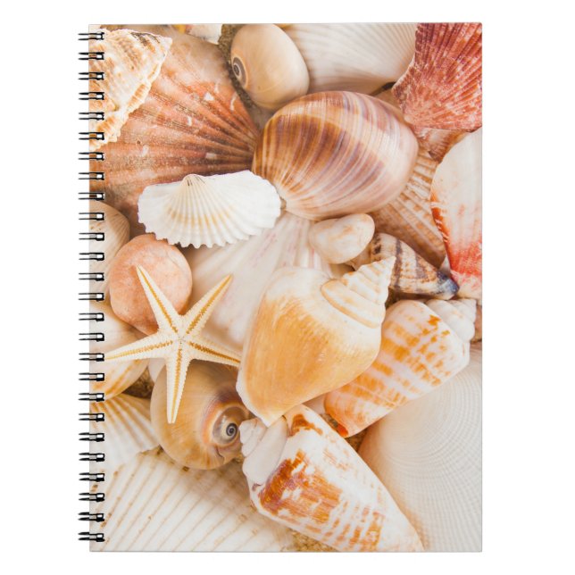 Carnet Coquillages arrière - plan : thème marin. (Devant)