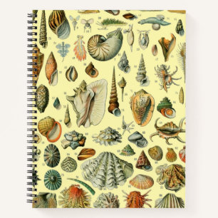 Carnet Coquillages de coquillages Mollusk Clam Élégant Ar