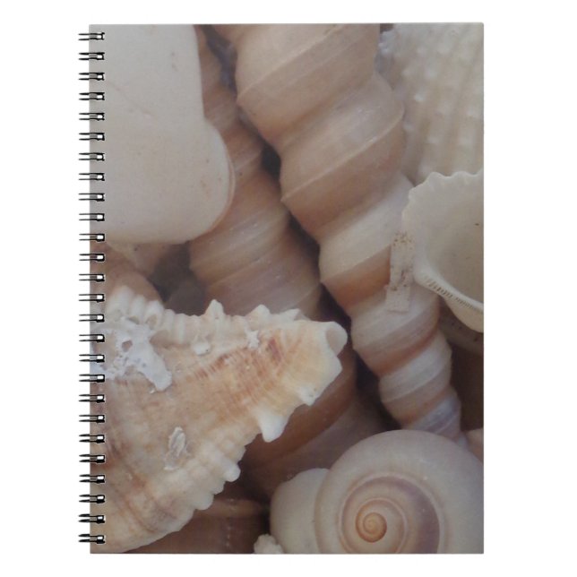 Carnet Coquillages d'été ensoleillés, Sea Shell Beach Lov (Devant)
