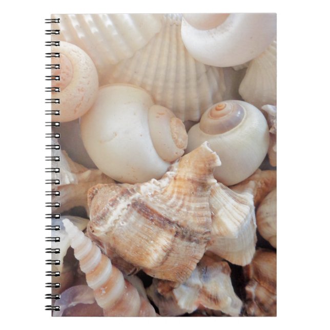 Carnet Coquillages d'été ensoleillés, Sea Shells Beach Lo (Devant)