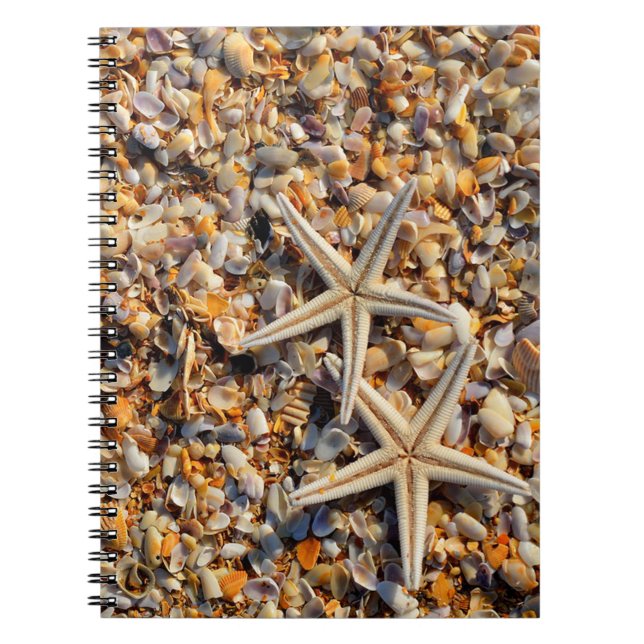 Carnet Coquillages et écrevisses (Devant)