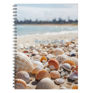 Carnet Coquillages marins sur la plage